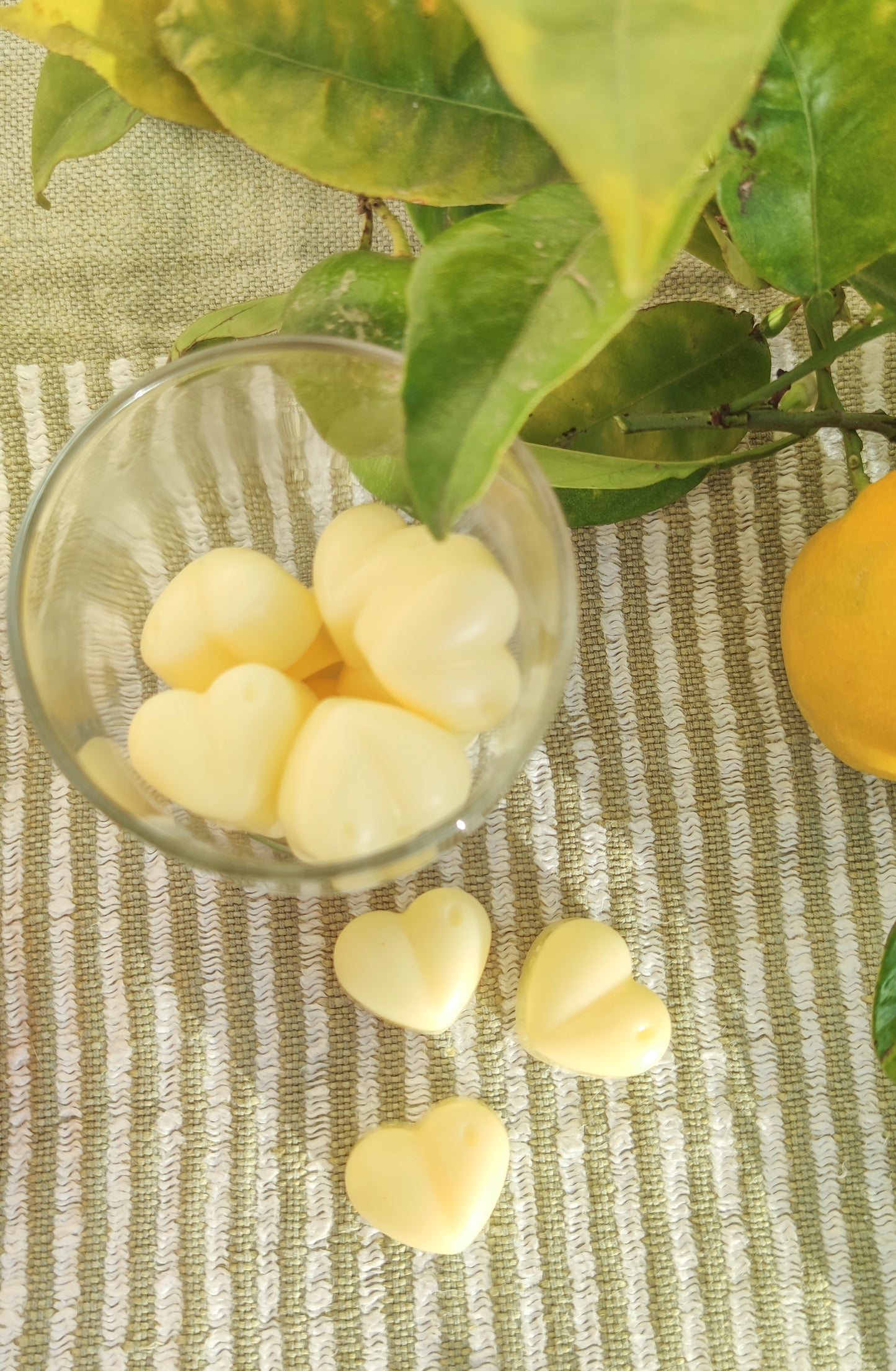 Cubos de cera Sol de Tarde – Fragancia cítrica para el hogar (90 g) | KSC Studio