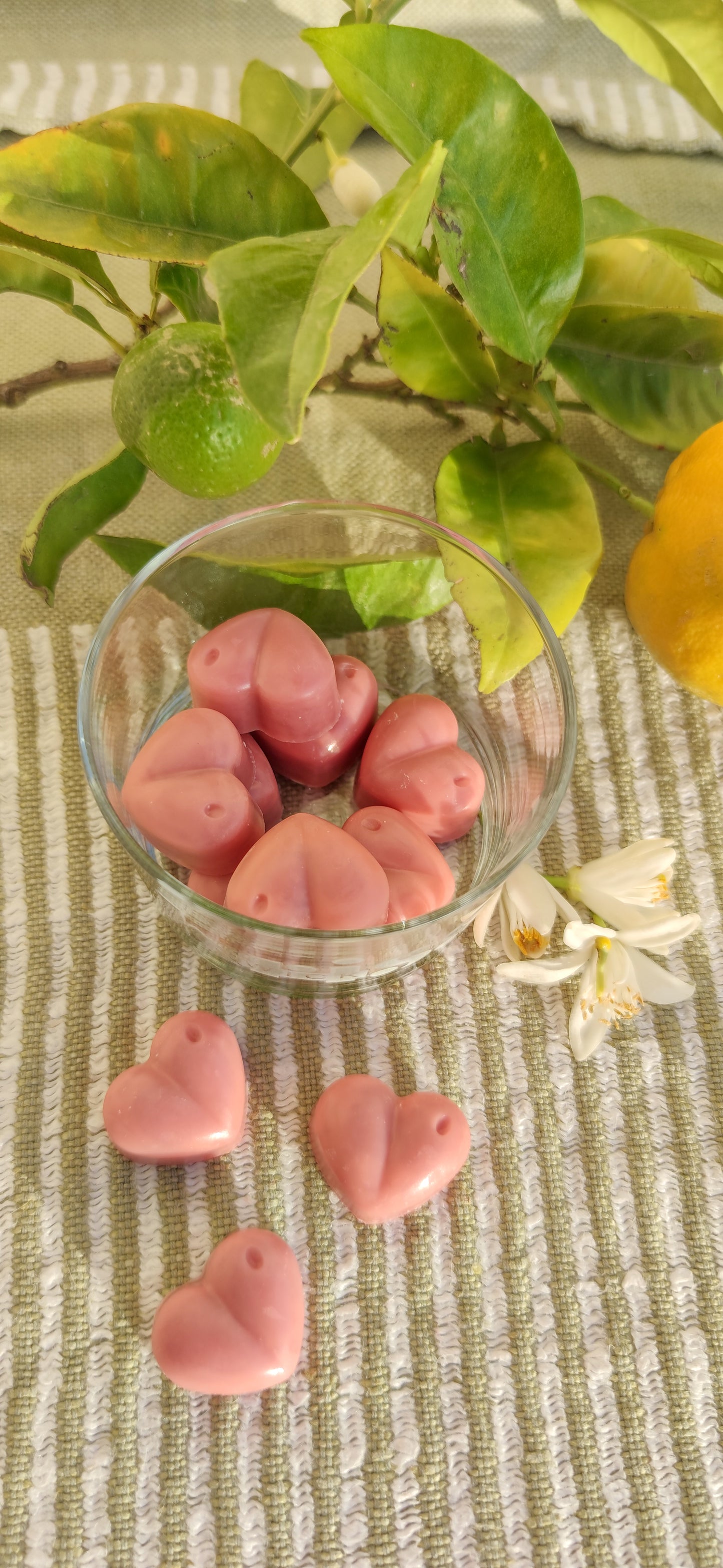 Midnight Cherry Wax Melts – Black Cherry & Vanilla (60g) | KSC Studio