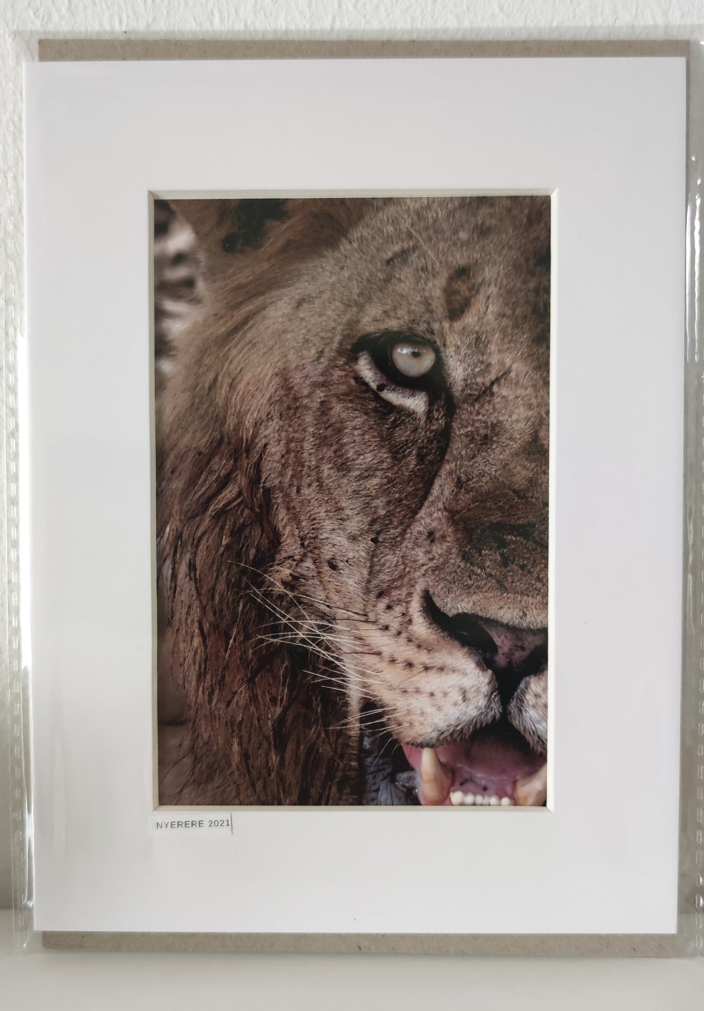 Untamed Gaze