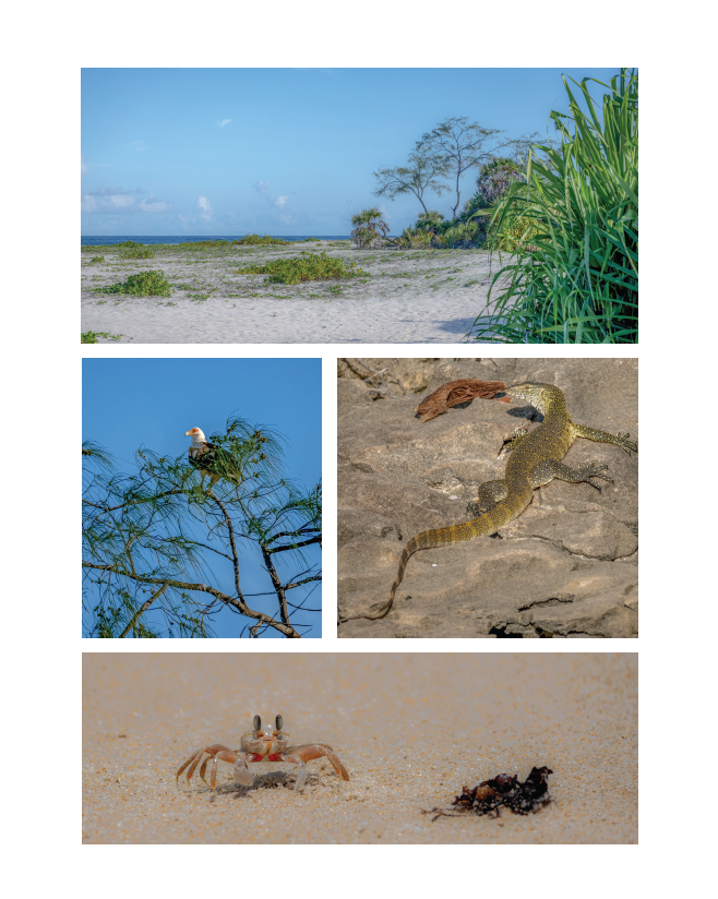 Tanzania — Una historia contada en fotografías