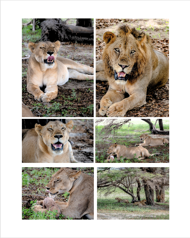 Tanzania — Una historia contada en fotografías
