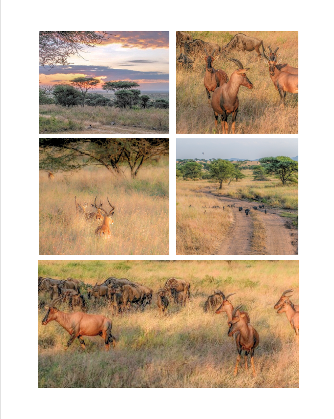 Tanzania — Una historia contada en fotografías